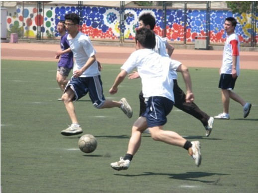 终于揭开了 终于揭开了